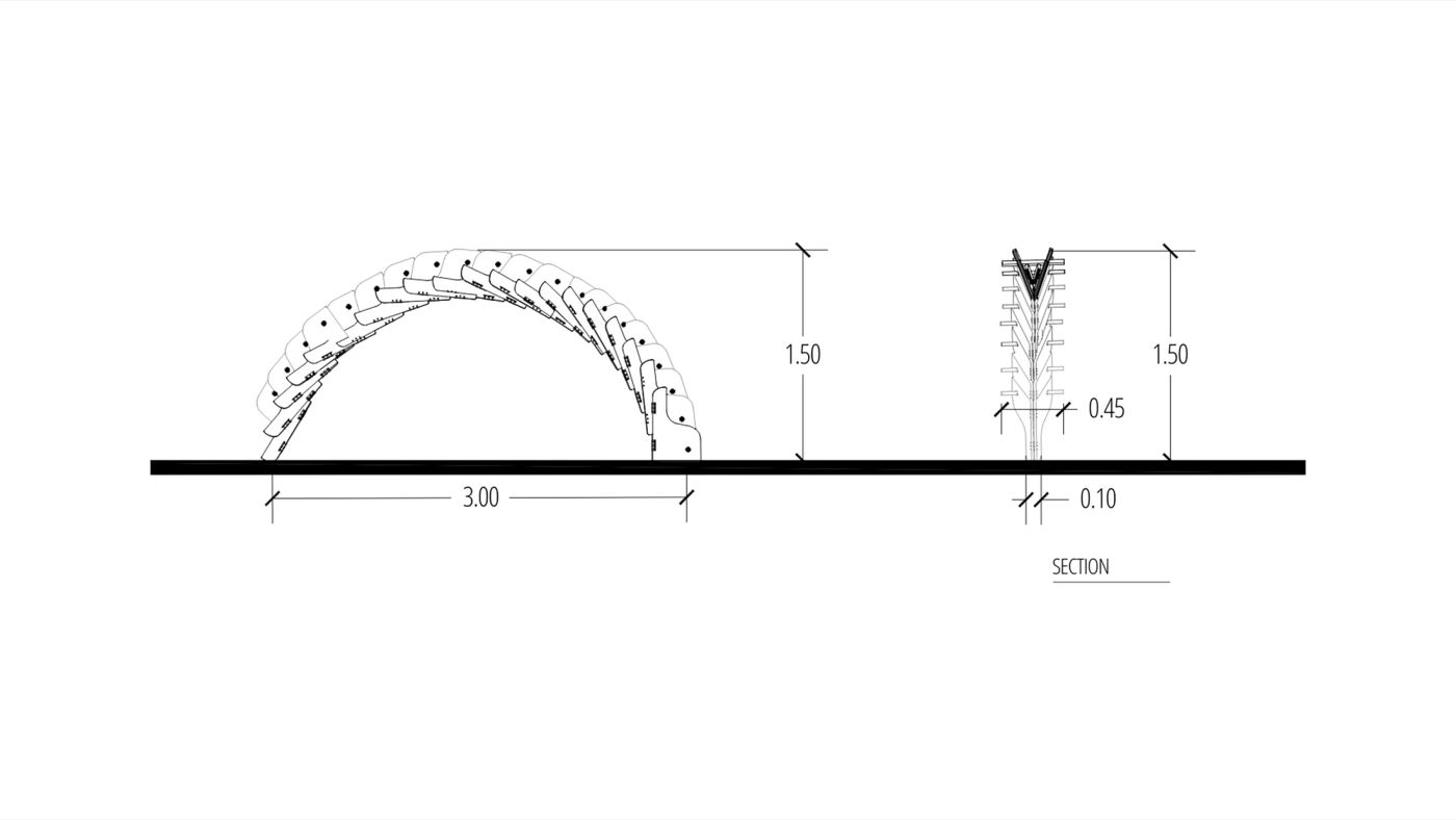 Opposite Arch